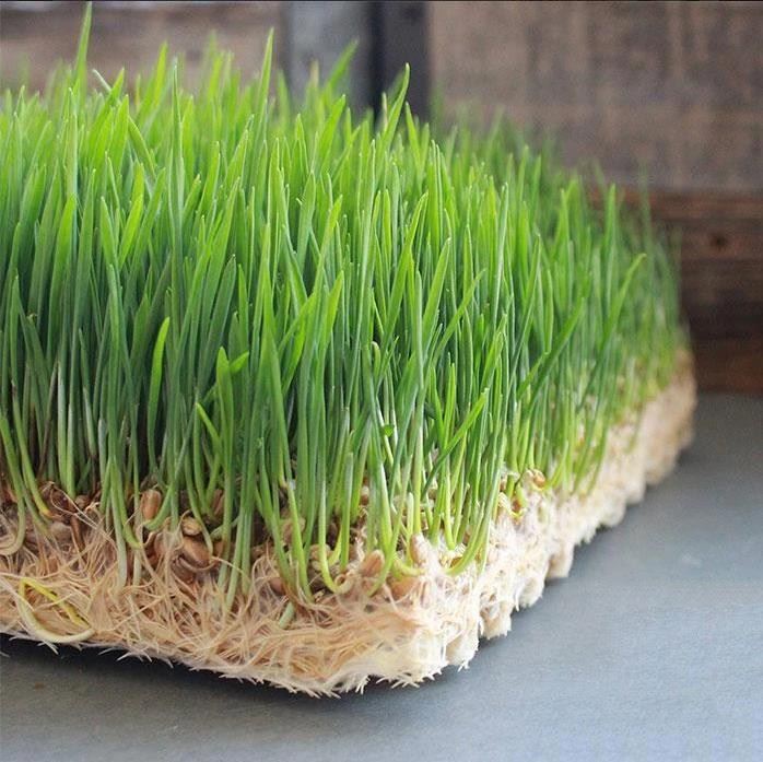 Hydroponic Jute/Hemp Grow Mat