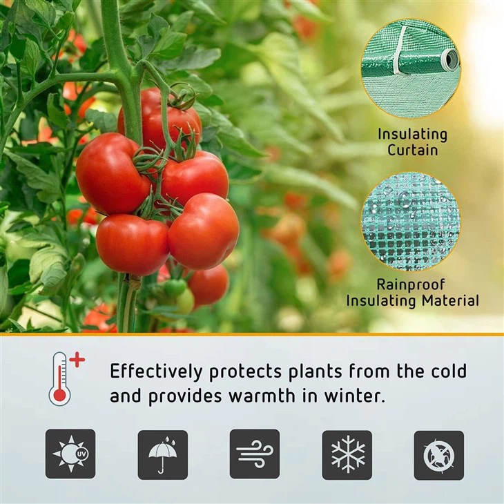Plant Growth Greenhouse Tunnel Greenhouse